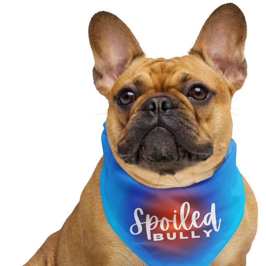 Spoiled Bully Turquoise Bandana