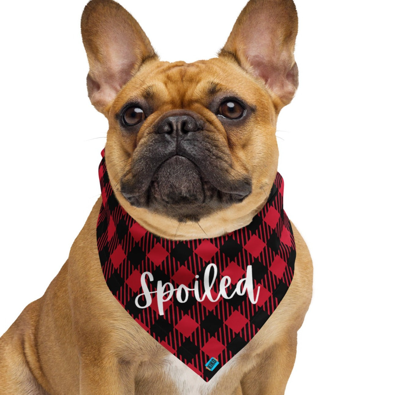 Spoiled Red & Black Plaid Bandana