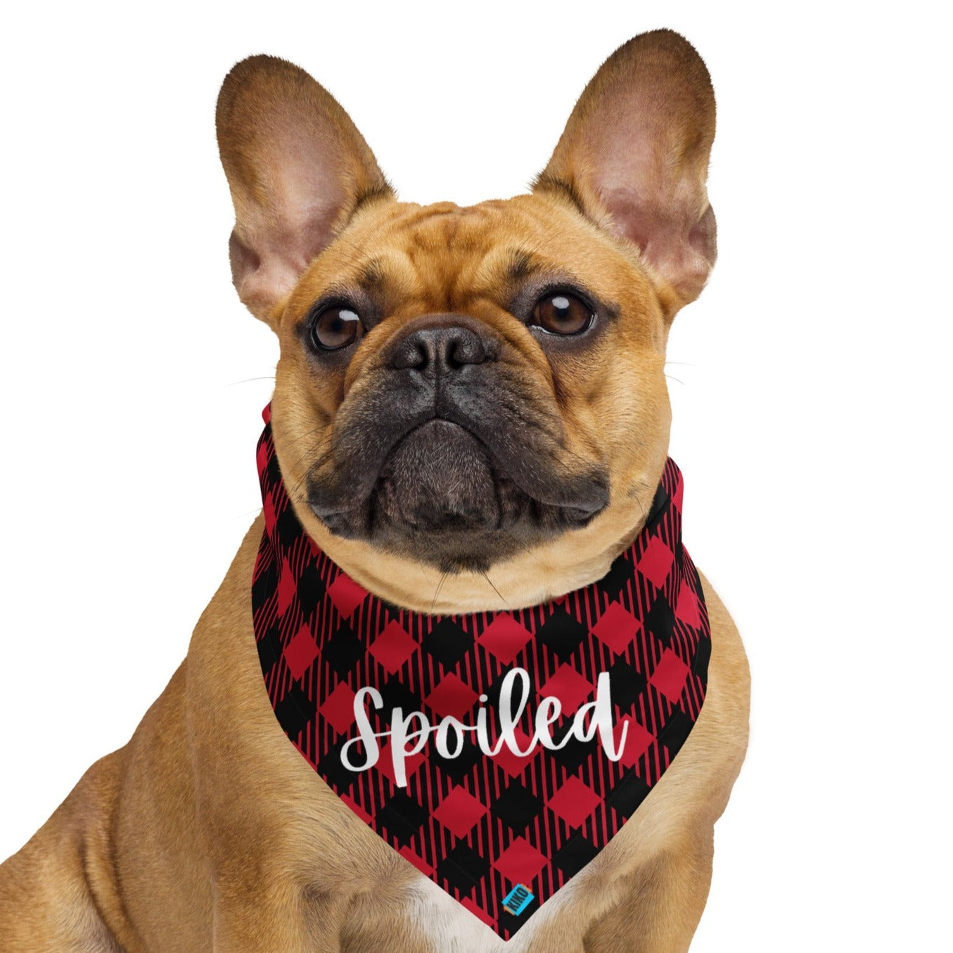 Spoiled Red & Black Plaid Bandana