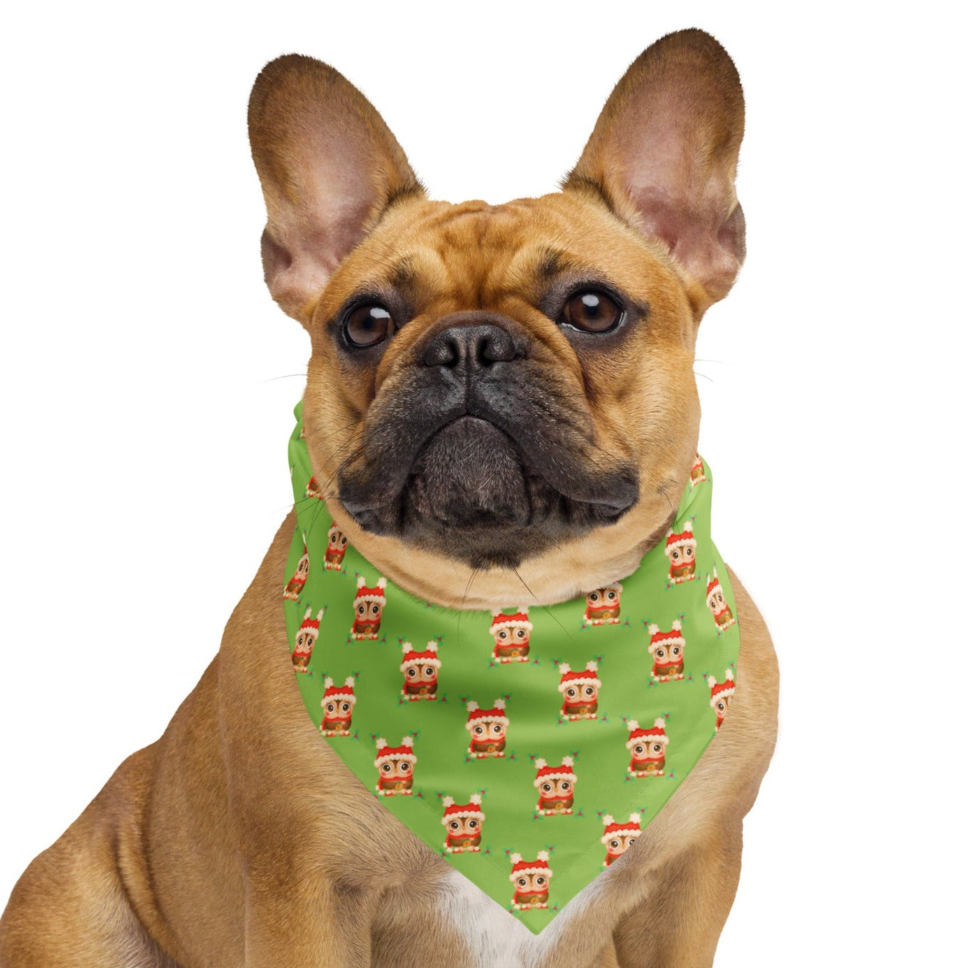 Christmas Owl Green BG All-Over Print Bandana