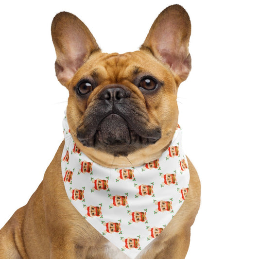 Christmas Owl Bandana